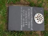 image of grave number 656378